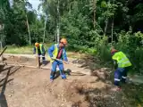 Благоустройство на объекте